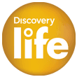 Logo Discovery Life