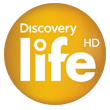 Logo Discovery Life
