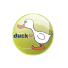 Logo Duck TV