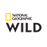 Logo National Geographic Wild